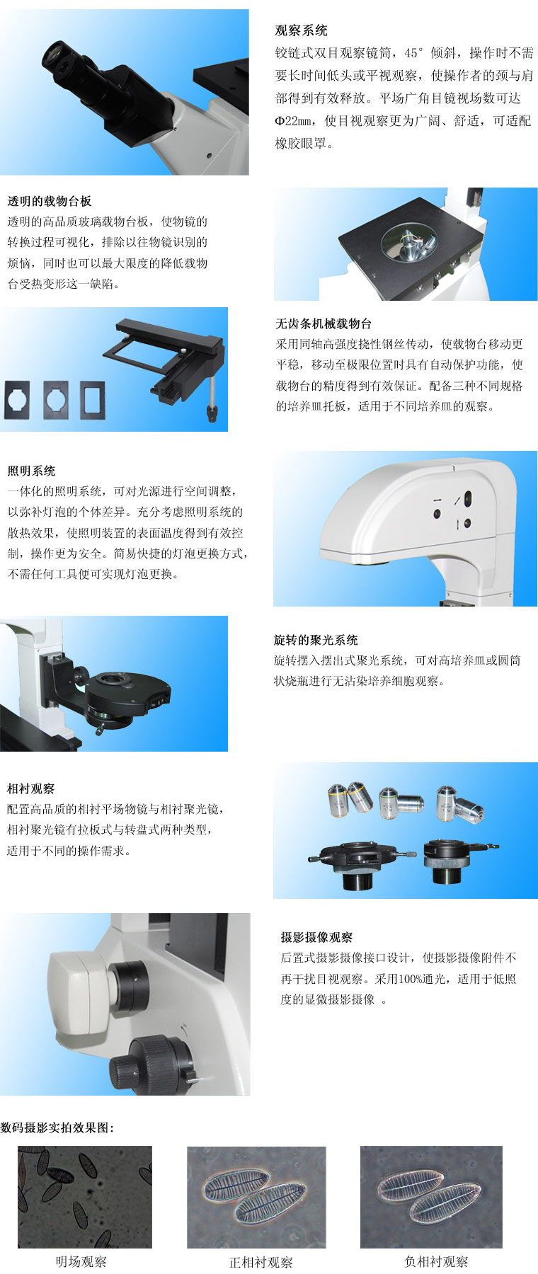 37XC-3倒置生物顯微鏡